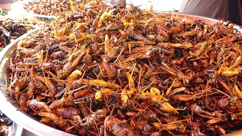 mangkok besar yang berisikan belalang goreng